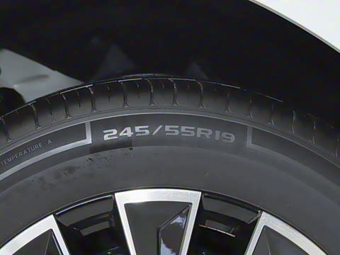 2025�� 205km Pro+�����״��