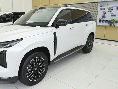 2025�� 205km Pro+�����״��