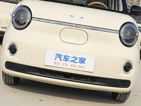 2026�� ����� 205km ���׿�