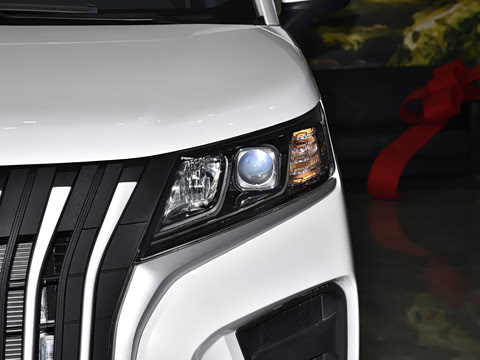 2025�� 2.0L CNG��Ӣ�� 9��