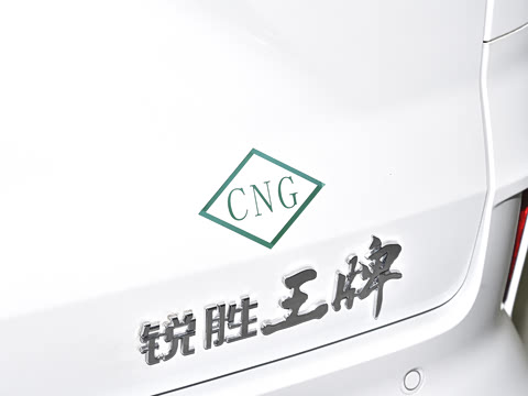 2025�� 2.0L CNG��Ӣ�� 9��