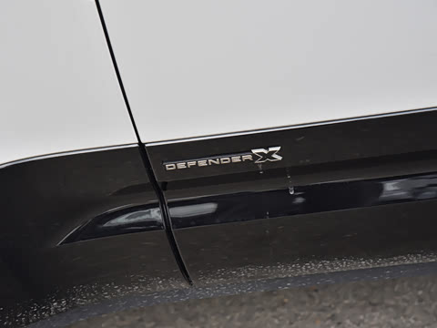 2026�� 110 3.0T P400 X