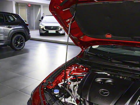 2025�� 2.0L �Զ������