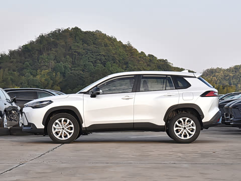 2026�� 2.0L ���ܵ��˫�� ����PLUS��