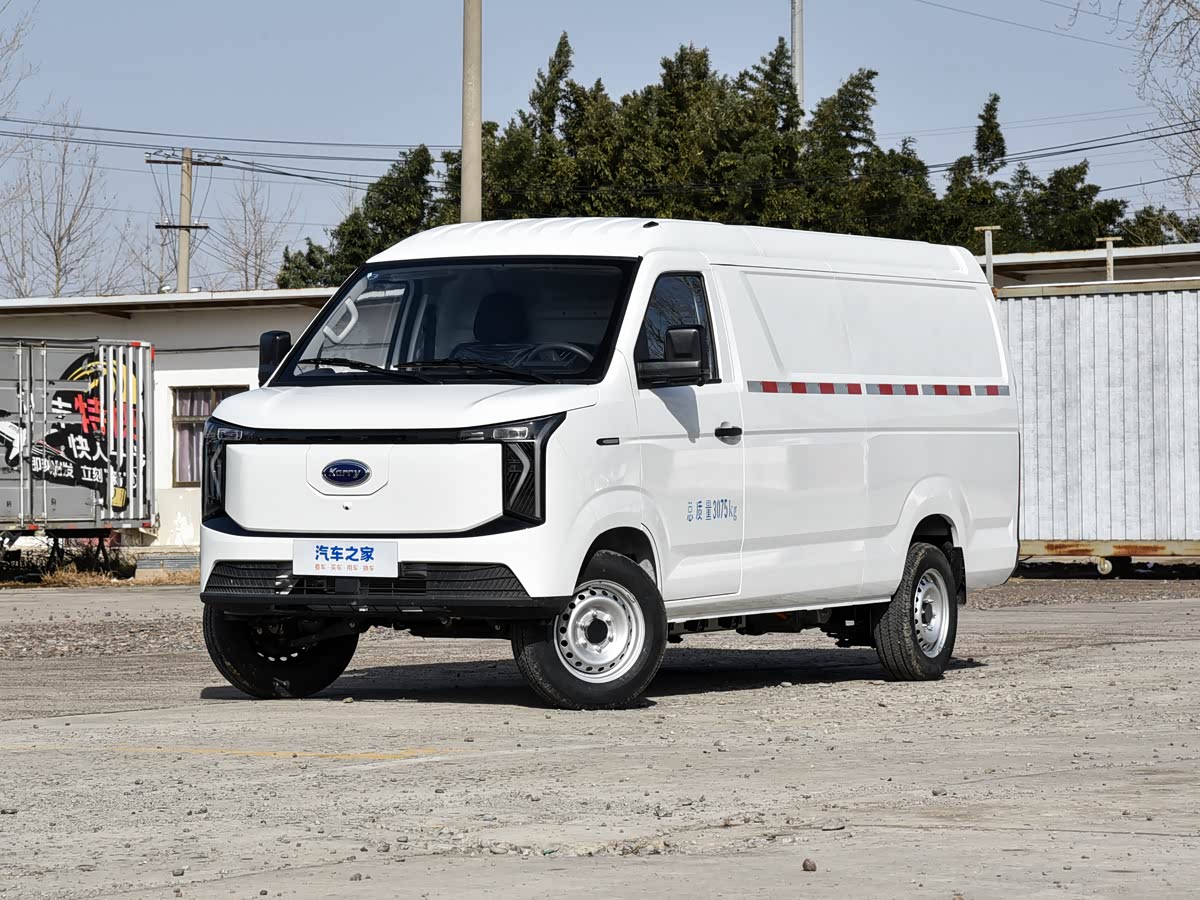 Dolphin EV