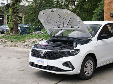 2026�� 1.5L �Զ���ȡ��