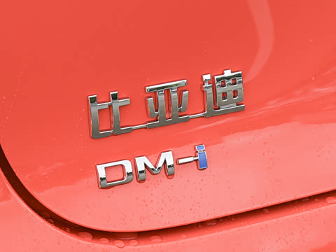 2026�� DM-i 305�Ǻ���