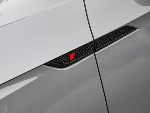 2024�� RS 5 2.9T Coupe ȼ���