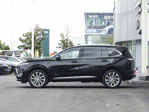 2026�� ������Plus ����Avenir��ά��