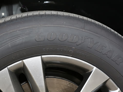 2026�� 2.5L ˫������������