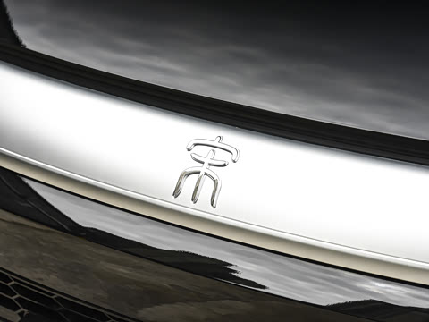 2026�� DM-i 220KM��Խ��