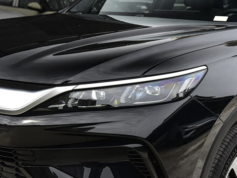 2026�� DM-i 220KM��Խ��