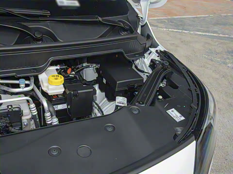 2025�� Plus 510 �Ǻ���