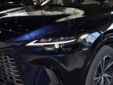 2026�� 300 ����������