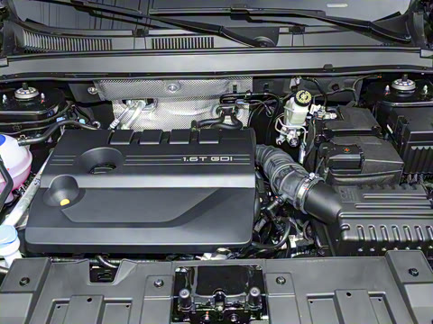 2025�� 290T ��������+