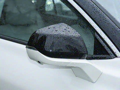 2026  2.0T  EcoBoost  