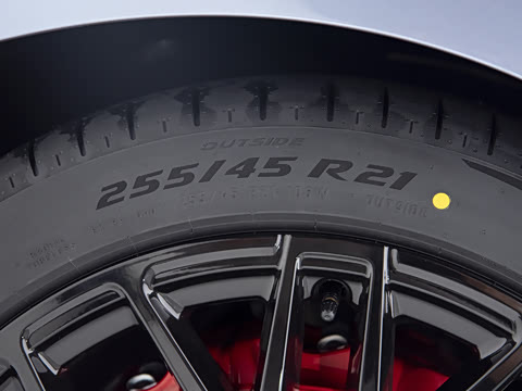 2026�� ������