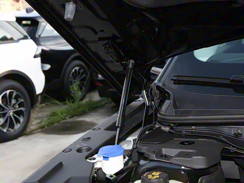 2025�� �Ŀ� 2.0T ����������