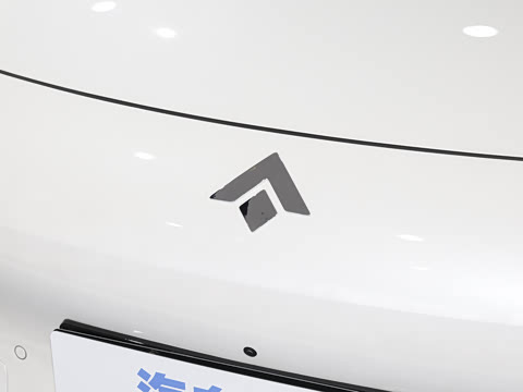 2025�� 825 Max��