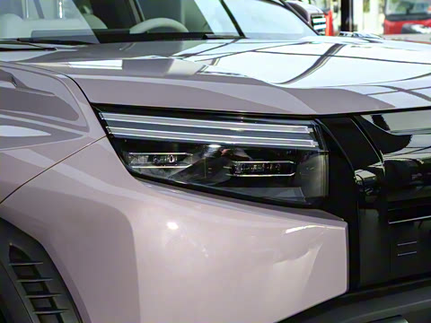 2025�� 501KM ����Max��