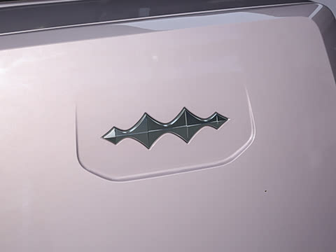 2025�� 501KM ����Max��