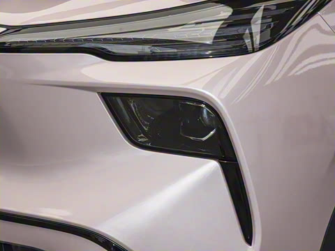 2025�� 565km ������