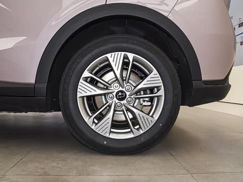 2025�� 565km ������