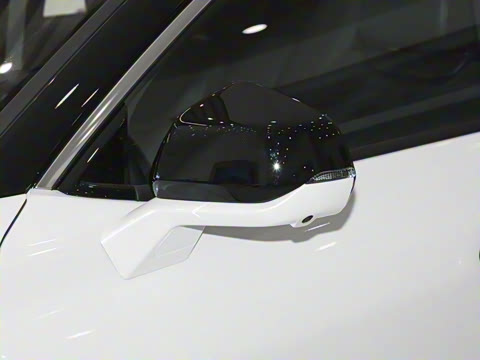 2025�� 2.0T EcoBoost ������