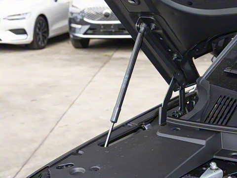 2026�� ������������Plus