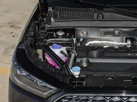 2026�� 290TGDI DCT������ 5��