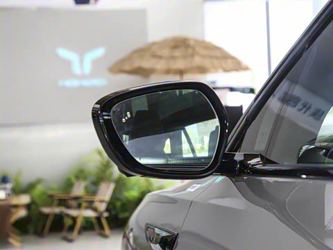 2024�� 600 Pro��ҫ��