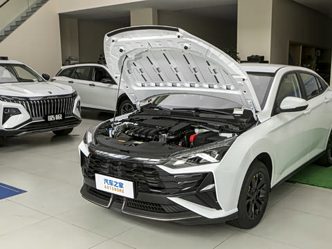 2025�� 1.5L ׿Խ��