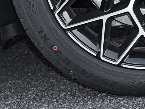 2026��   95������ Max��