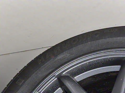 2025�� 555�Ǵ���