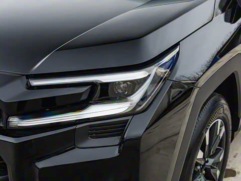 2026�� 2.0L ����������