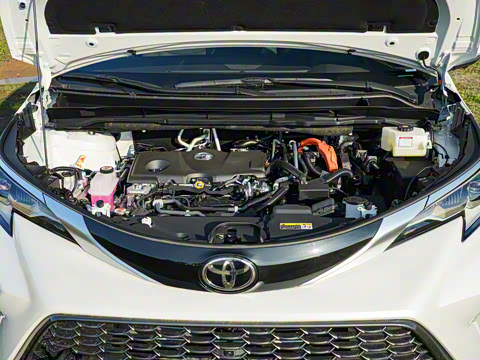 2026�� 2.5L�춯 ���PLUS������