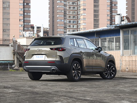 2026�� 2.5L ���а�