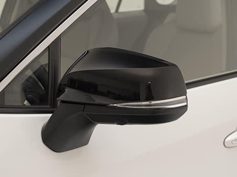 2024�� ˫�� 2.5L E-CVT��������