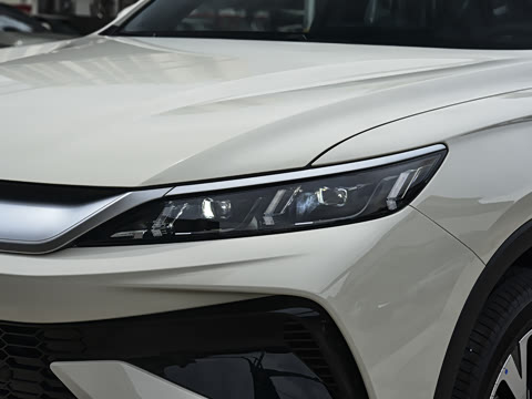 2026�� �ɳ۰� DM-i 220KM��Խ��