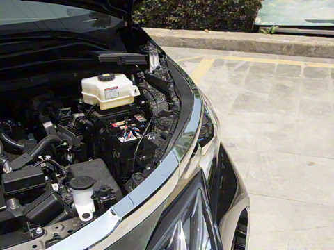 2026�� ������