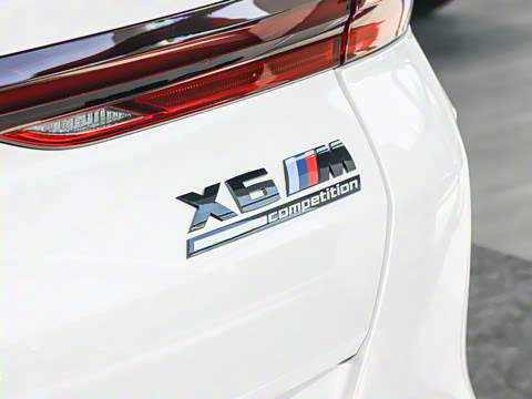 2024�� X6 M ������