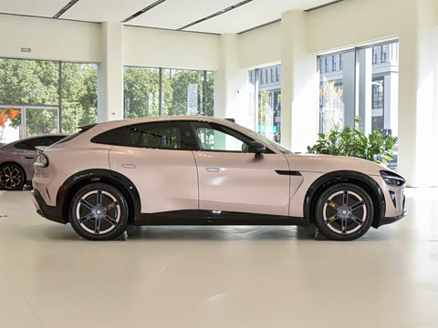 2025�� ������������Pro��