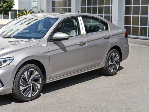 2025�� �Ŀ� 300TSI DSG���а�