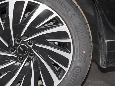 2025�� ���� 240 Max��������������ʻ