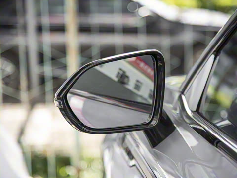 2025�� 100������Plus����