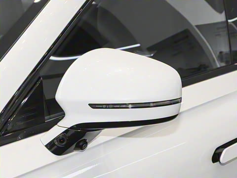 2025�� ���� 265 Max��������������ʻ