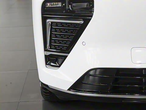 2025�� ���� 265 Max��������������ʻ