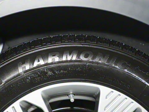 2025�� 565km ������