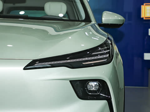 2025�� 565km �����