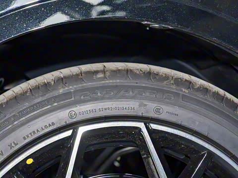 2026�� �����������̰� 310������